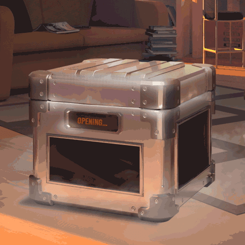 BONKBOX Mystery Box