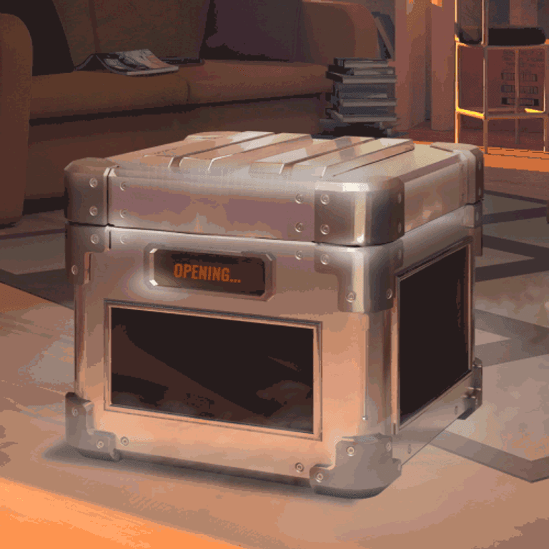 BONKBOX Mystery Box