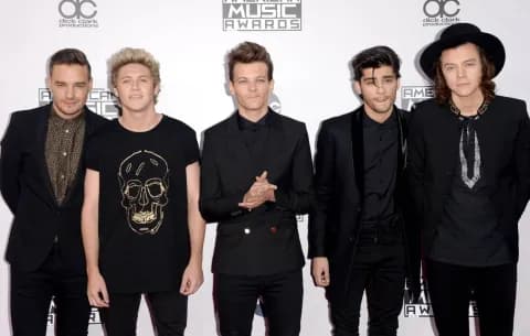 Liam Payne, Niall Horan, Louis Tomlinson, Zayn Malik, and Harry Styles of One Direction attend the 2014 American Music Awards at Nokia Theatre L.A. Live on November 23, 2014 in Los Angeles, California