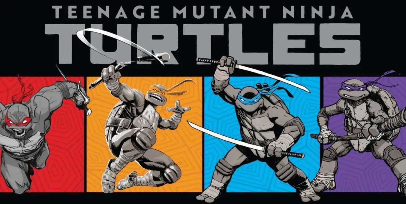 Teenage Mutant Ninja Turtles Artist